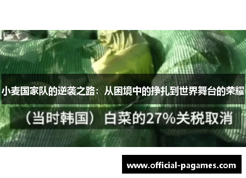 小麦国家队的逆袭之路：从困境中的挣扎到世界舞台的荣耀